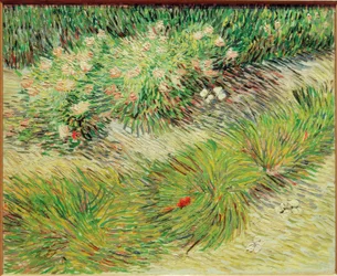 Butterflies and Flowers